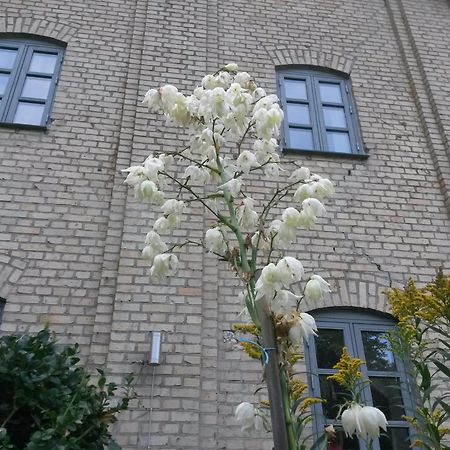 Skelstrupgaard Apartments ماريبو المظهر الخارجي الصورة